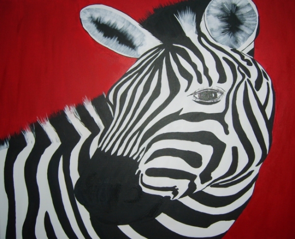 ny Zebra