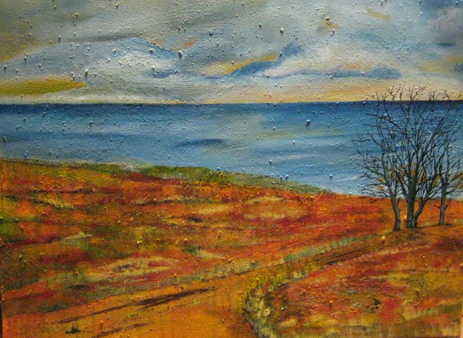 Skovgaarde strand