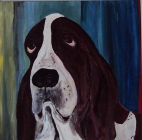 Basset hund
