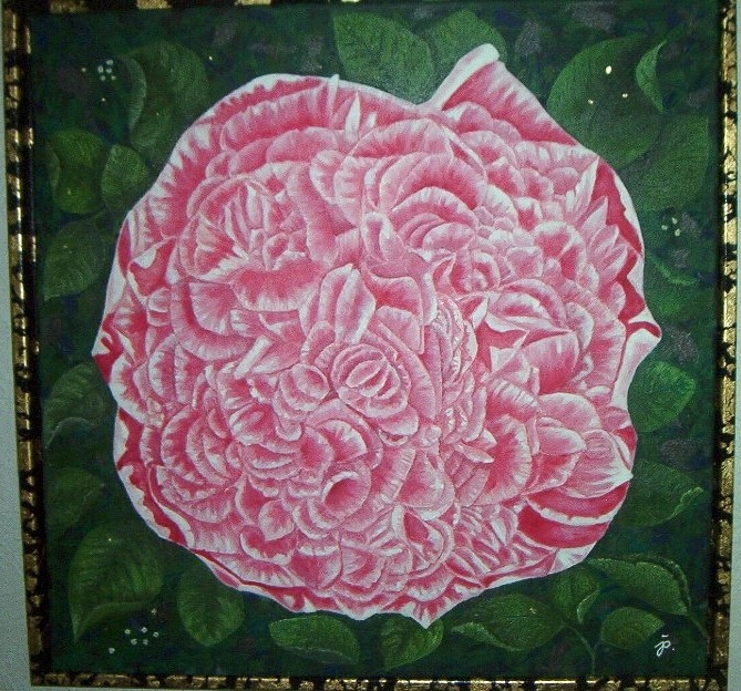 Krummelure Rose