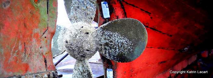 Beautiful Propeller