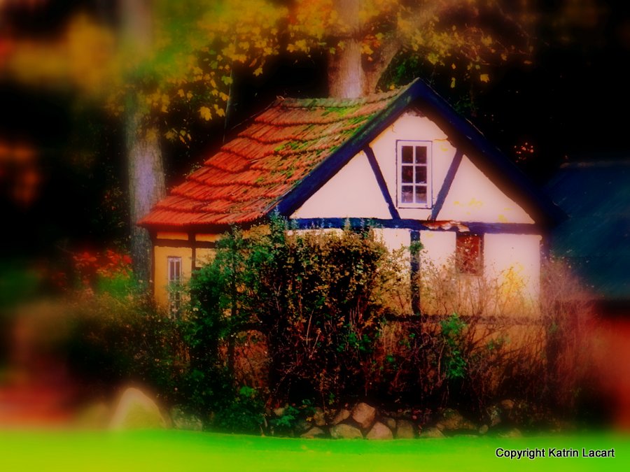 My sweet home