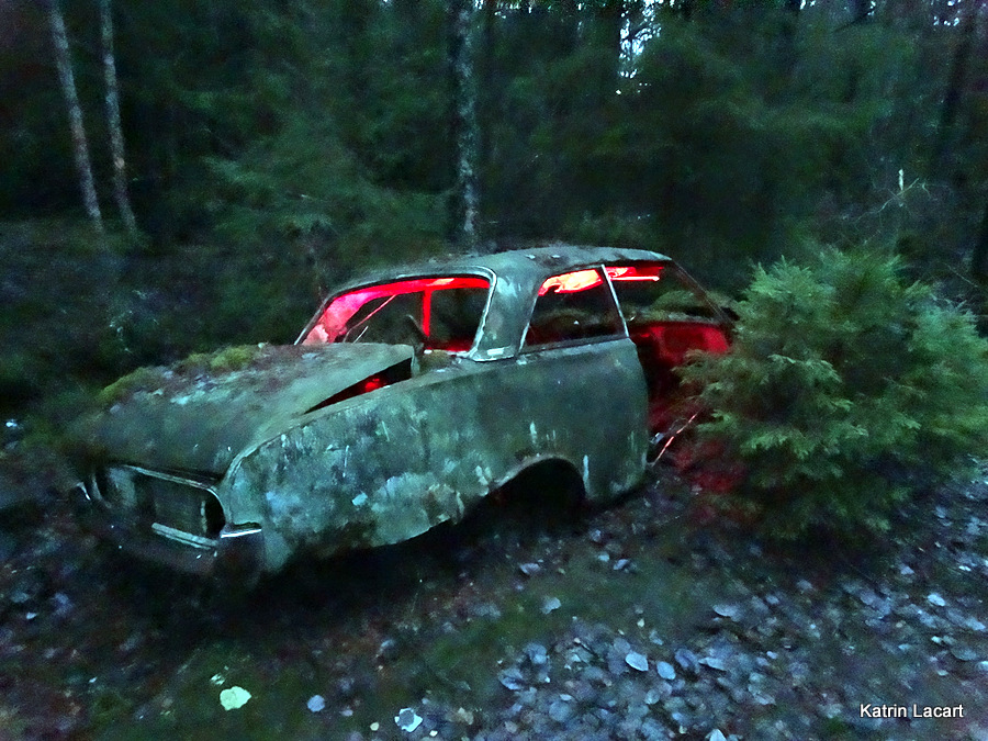 The forgotten gangster car in the forest