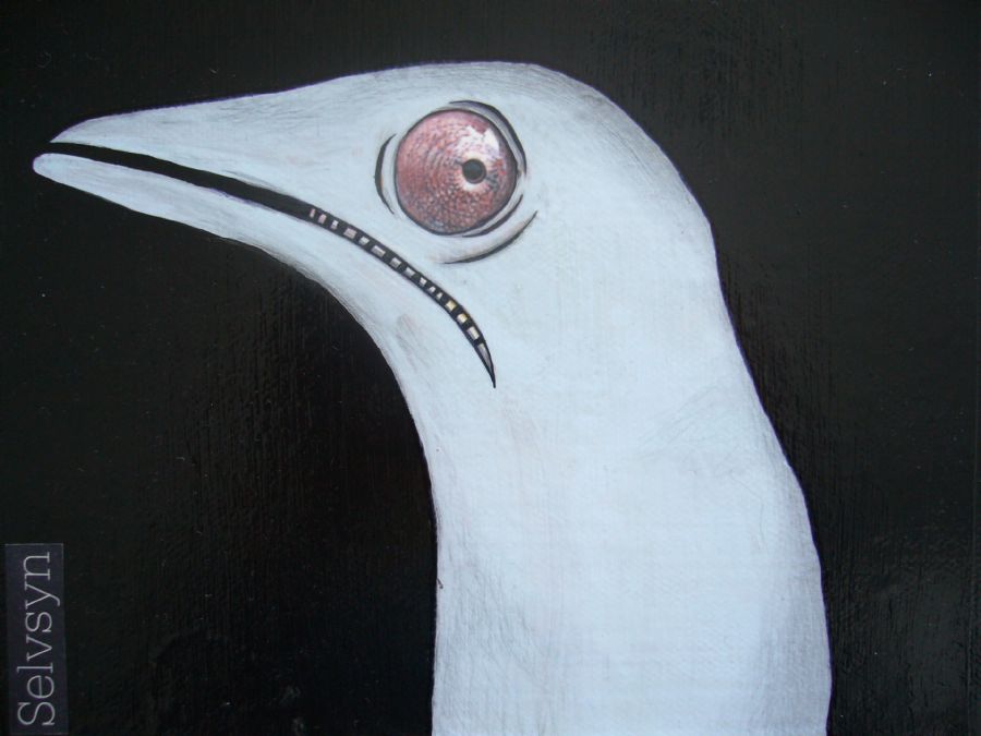 Kamæleon