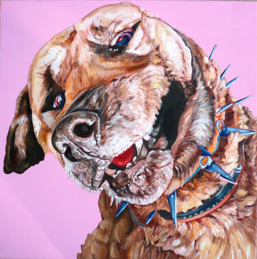 dogdays