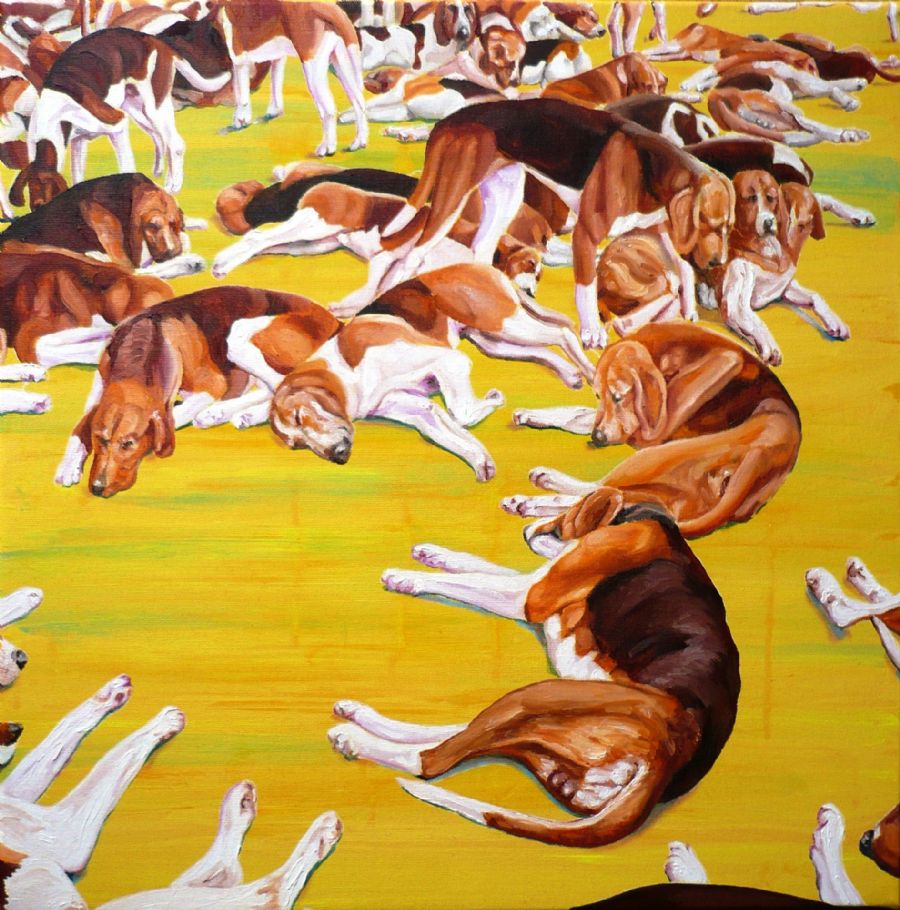dogdays