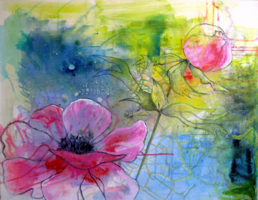 Blomsterportræt - franske anemoner Priva