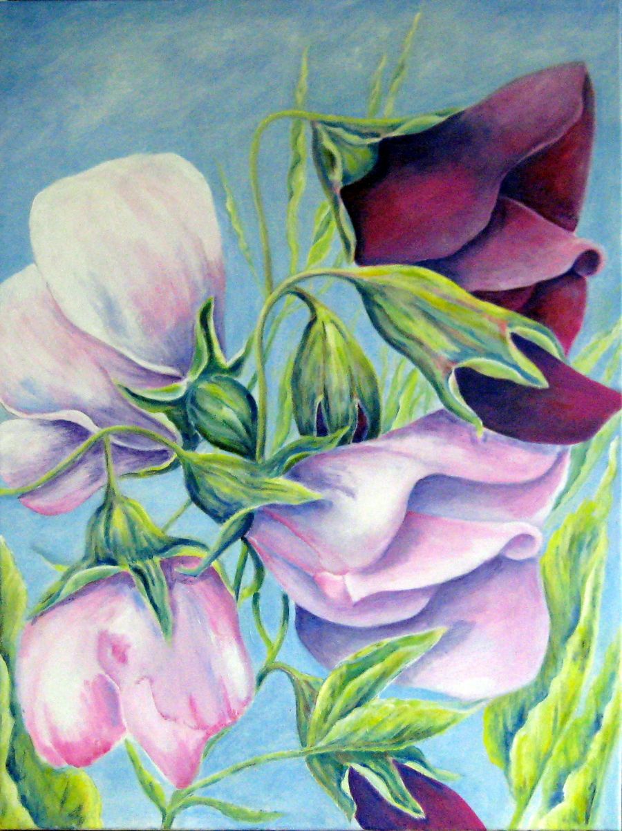 Ærteblomst 2 - SOLGT