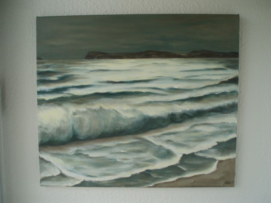 At leve ved havet ....