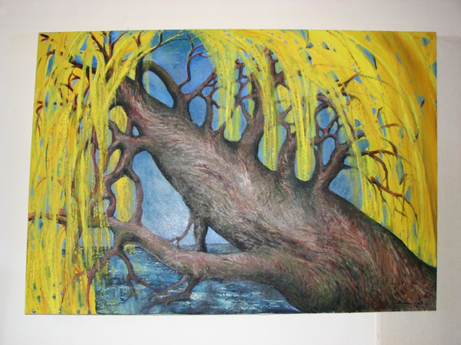 old willow