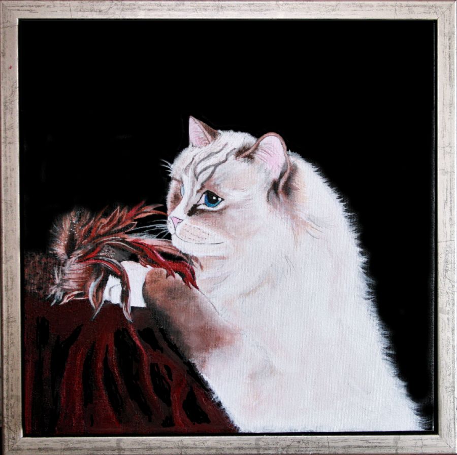 Ragdoll leger