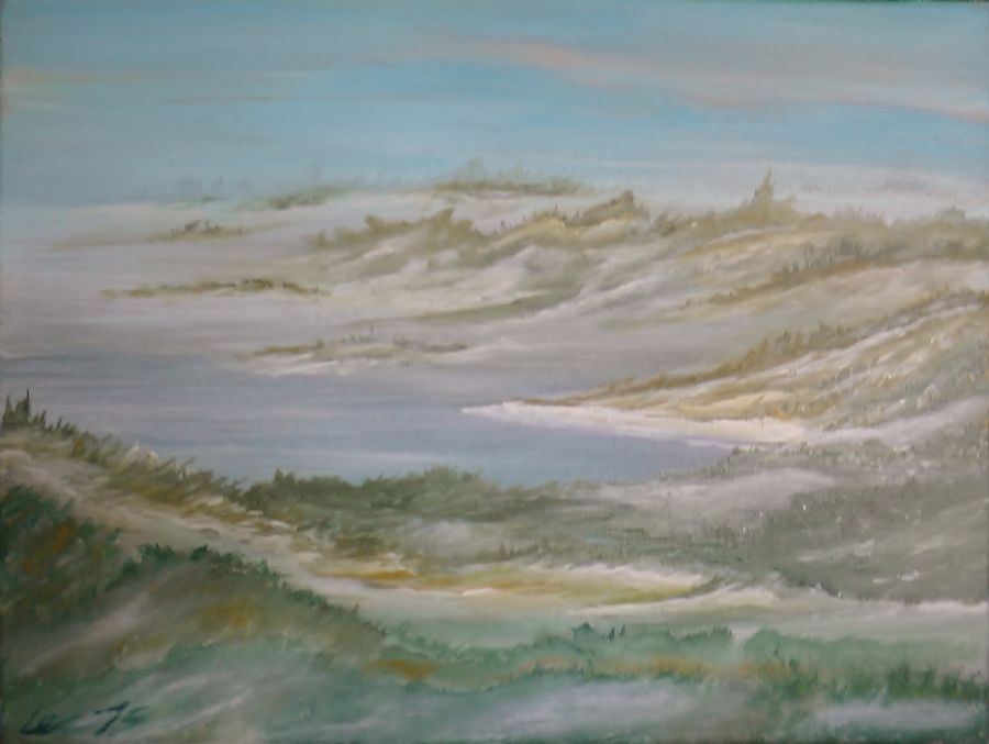 Vinter morgen ved vandet