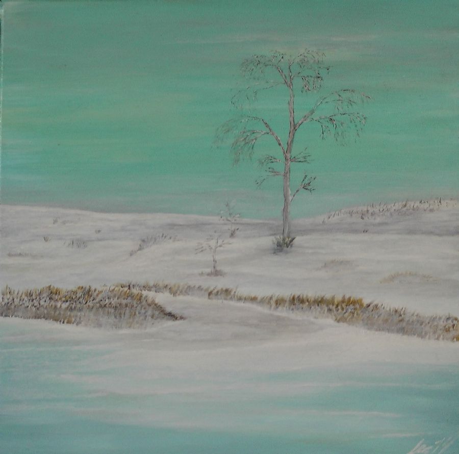 vinter ved søen