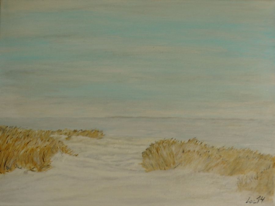 Vinter ved fjorden