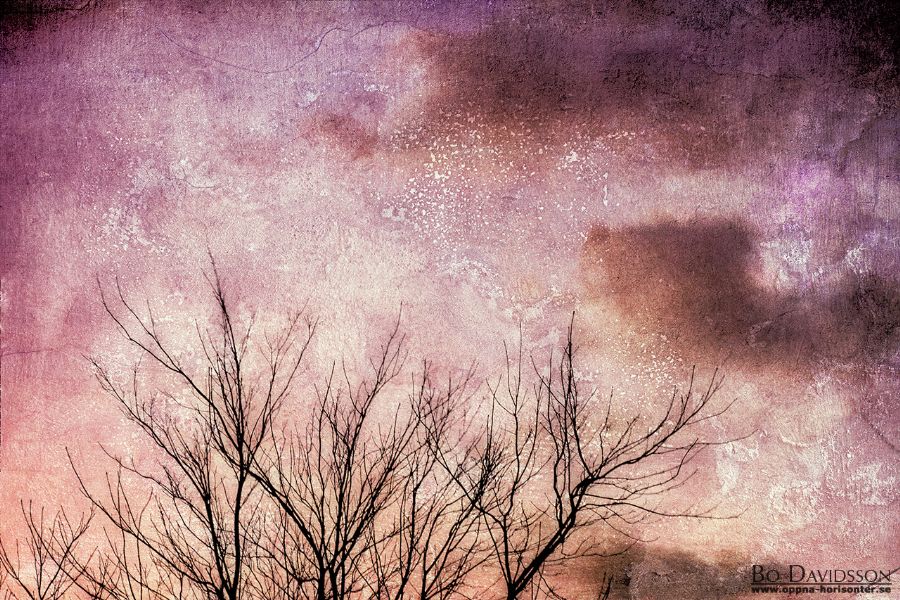Twilight