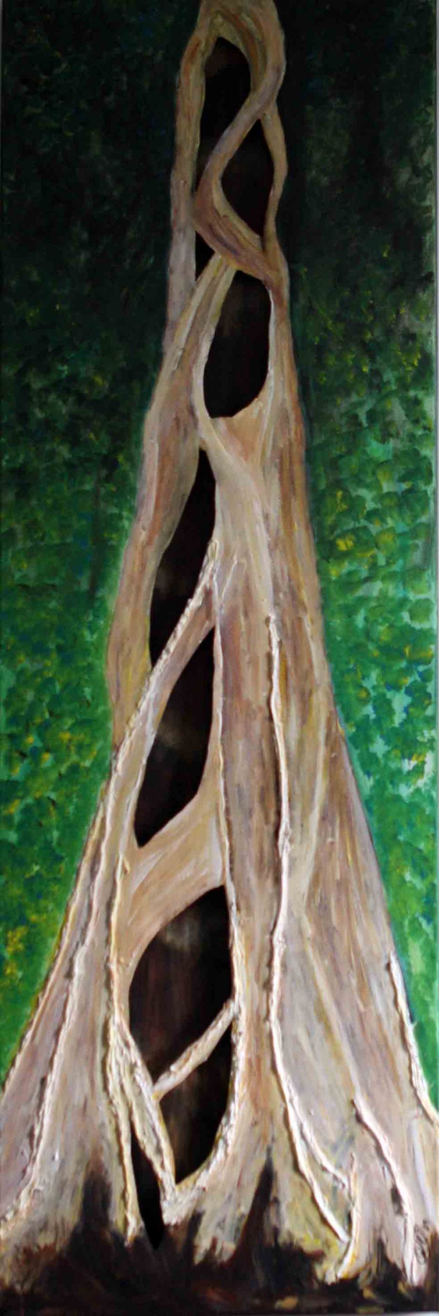 Amazonas træer 2