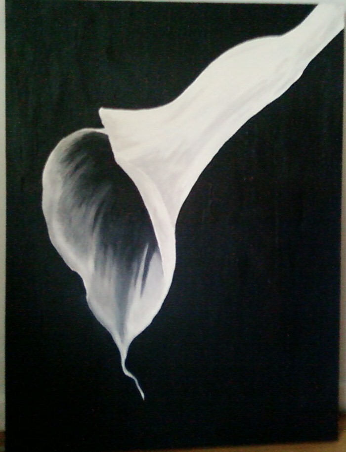 Hvid Calla