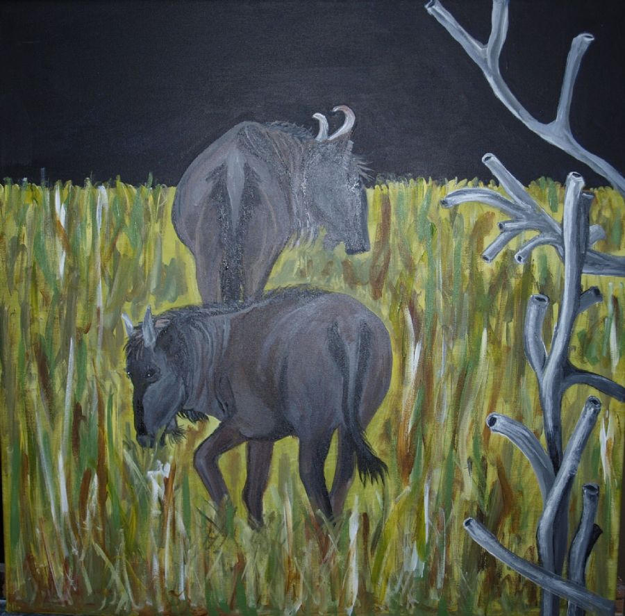 Grazing wildbeest