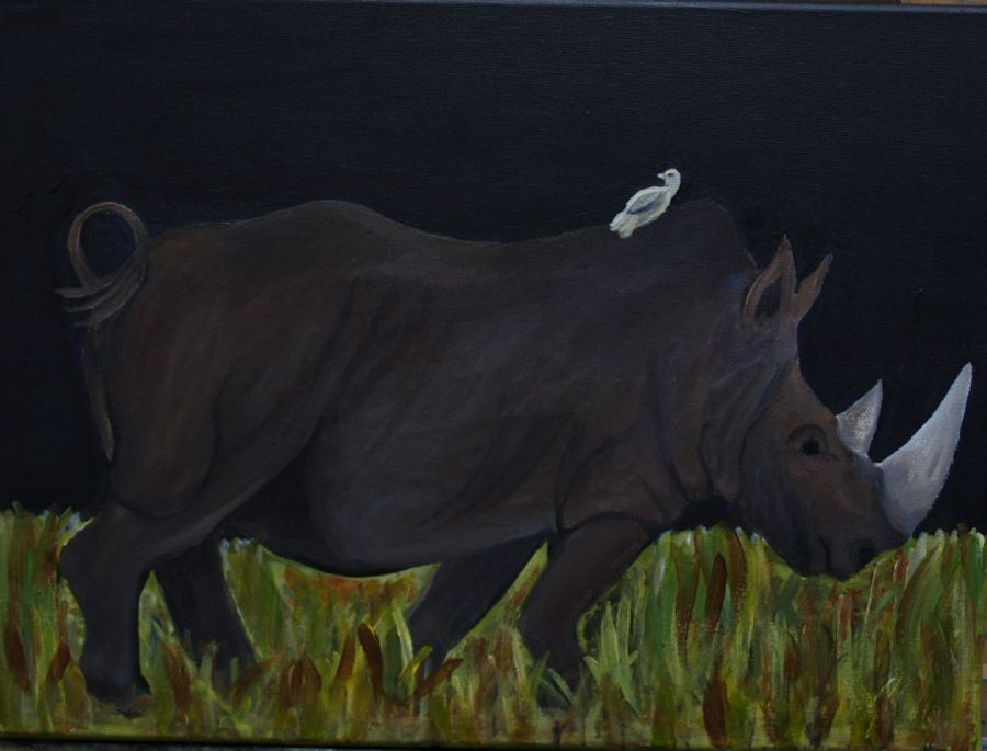 A rhino crossing my way