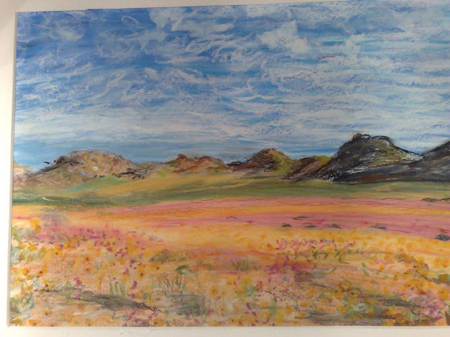 Namaqualand