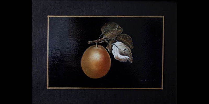 Vinterpaere