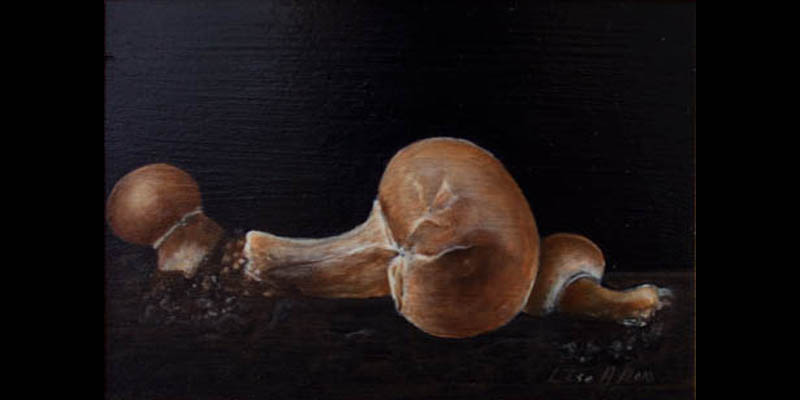 Markchampignon på karm