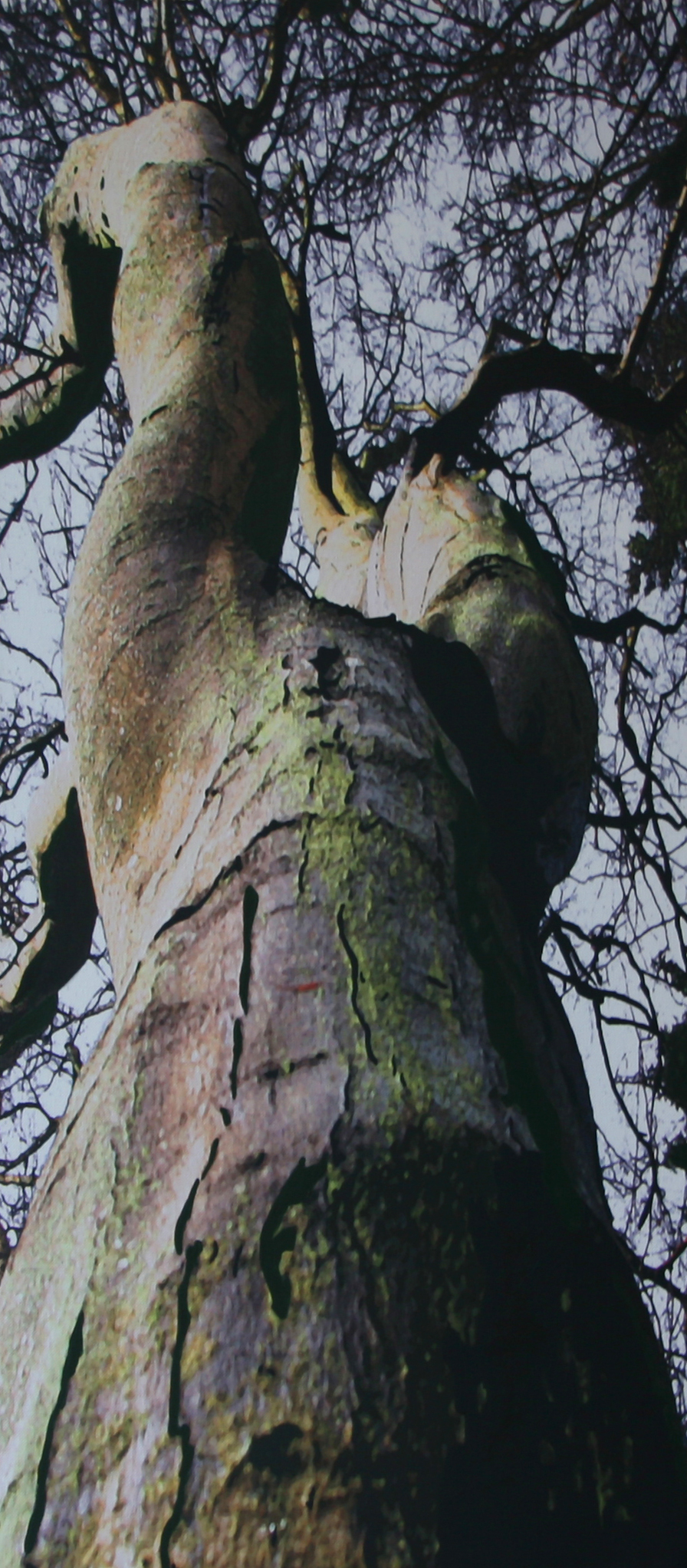 40x90 cm