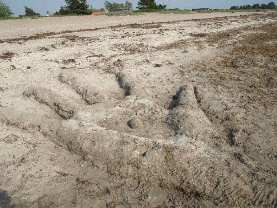 Hånd som sandart