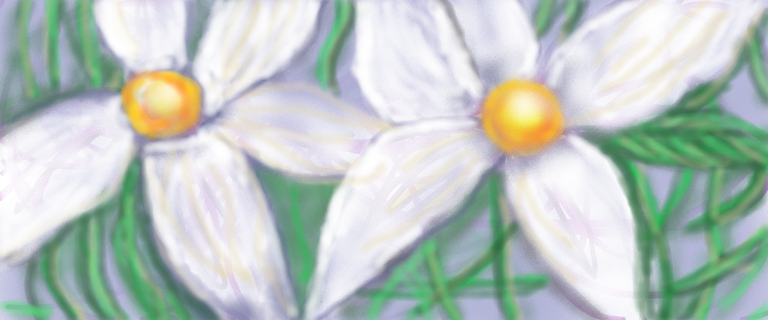 Blomster