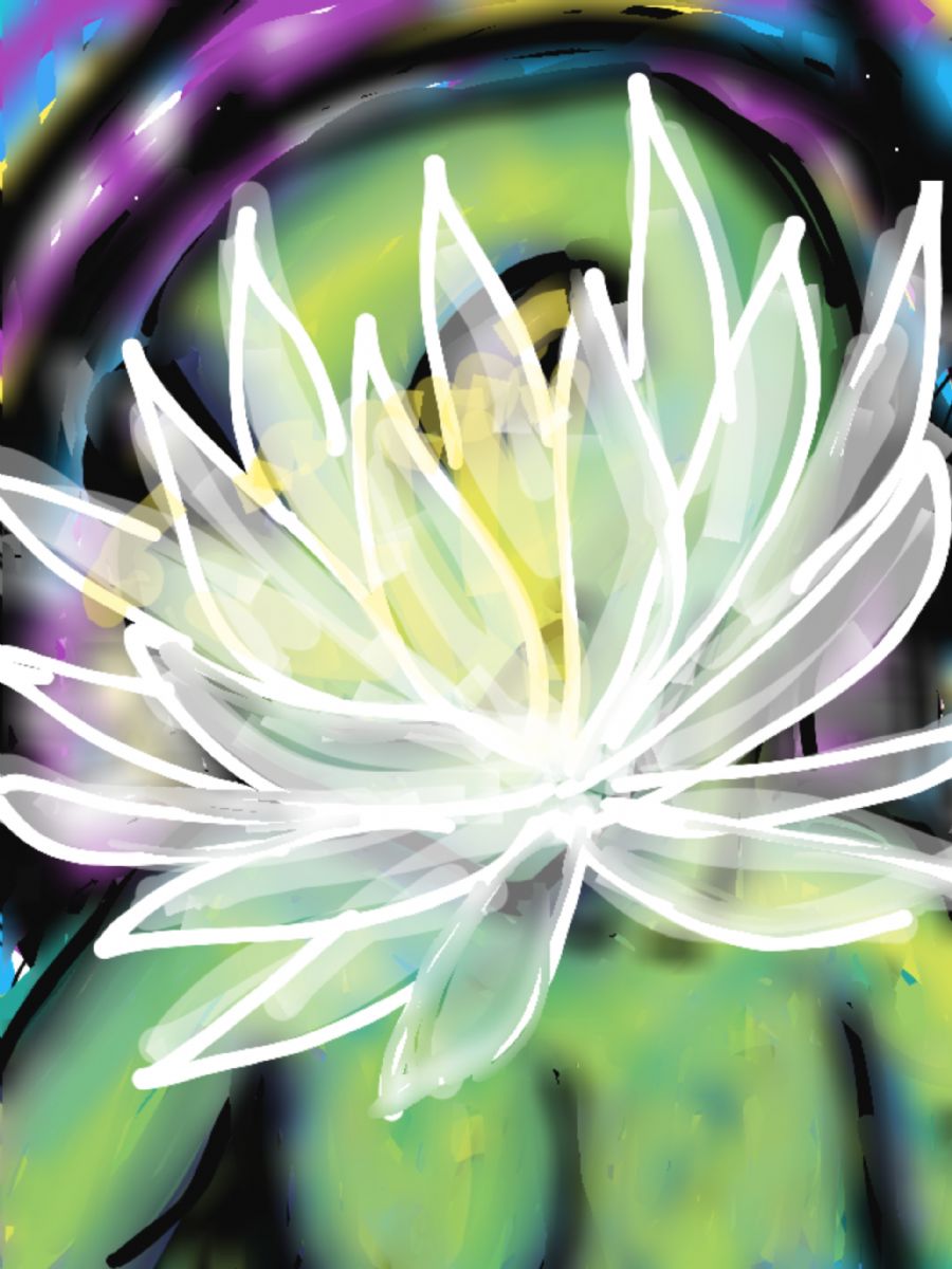 Lotus