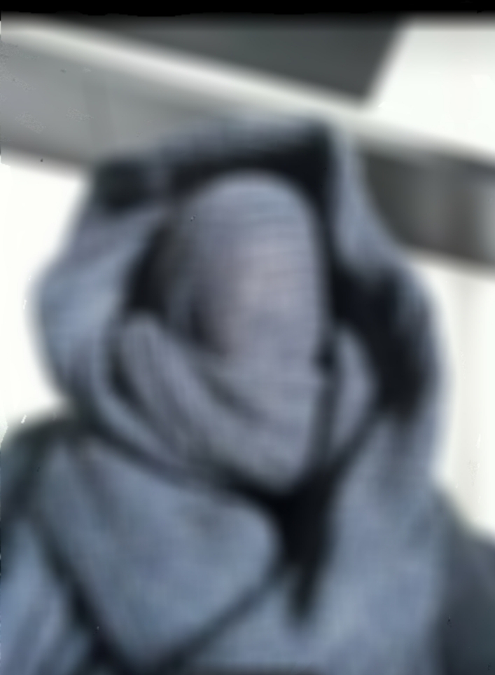 Sløret