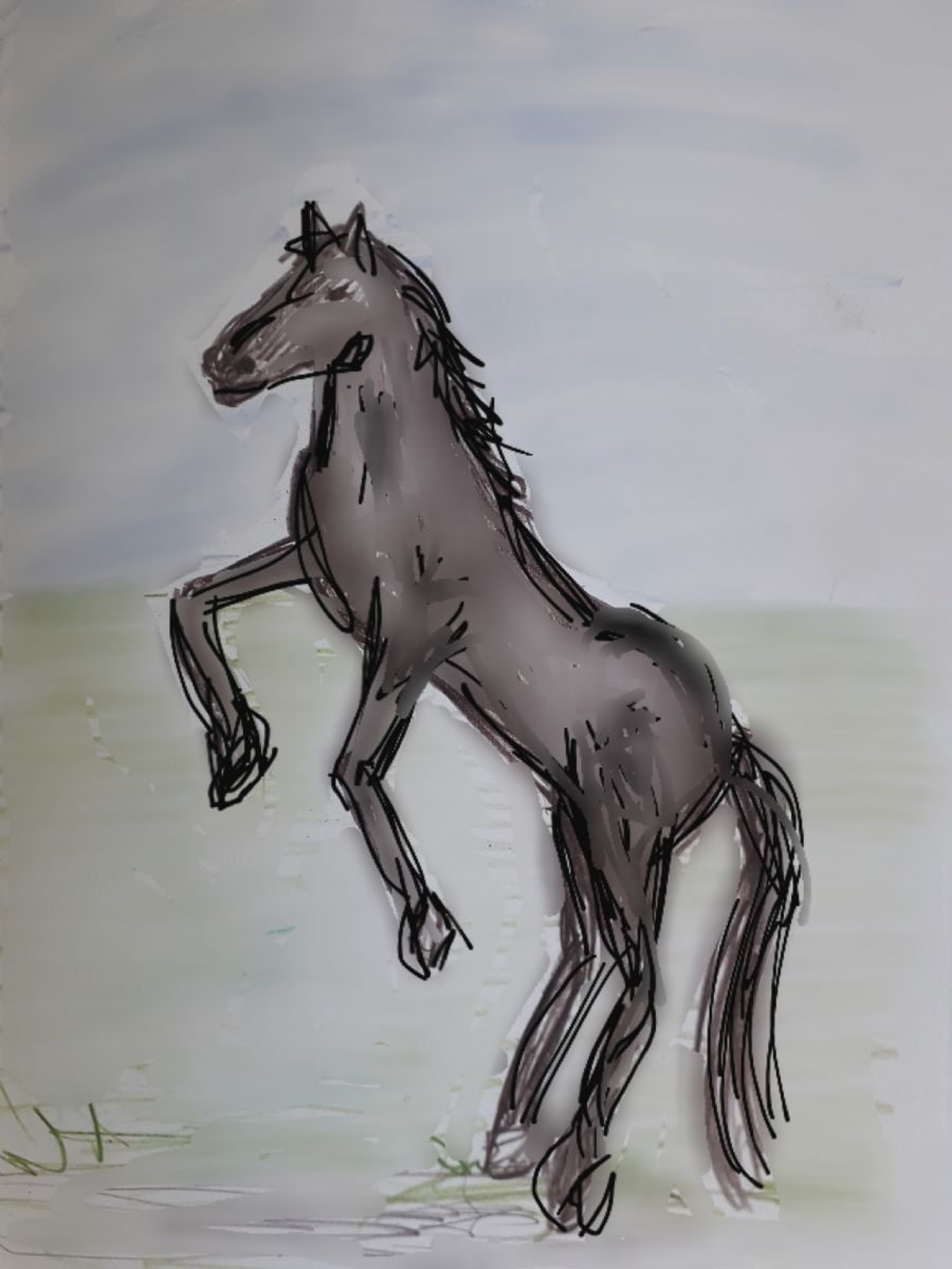 Sort hest