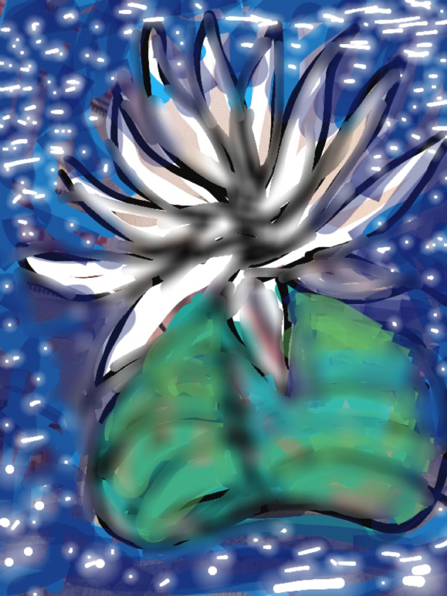 Lotus blomst