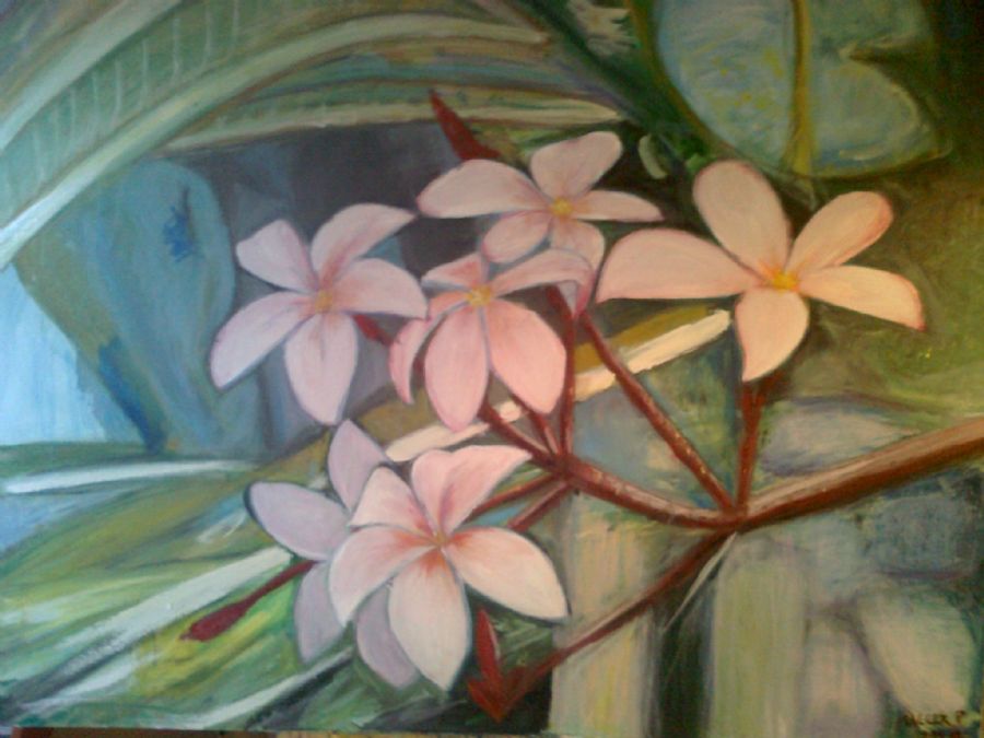 Frangipani