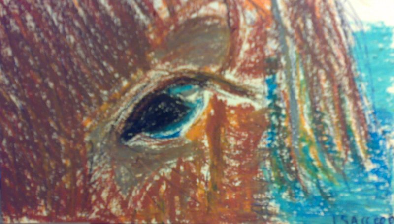 I see Eye