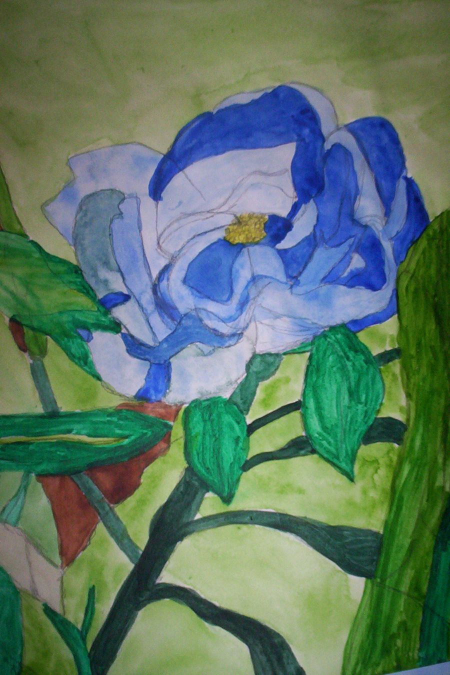 Blomst