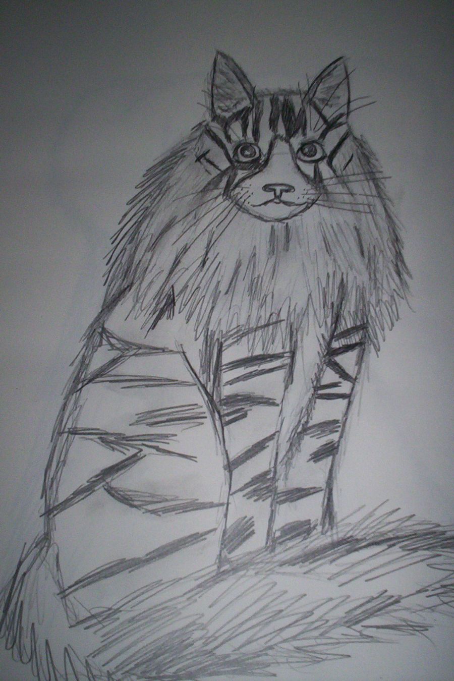 Kat