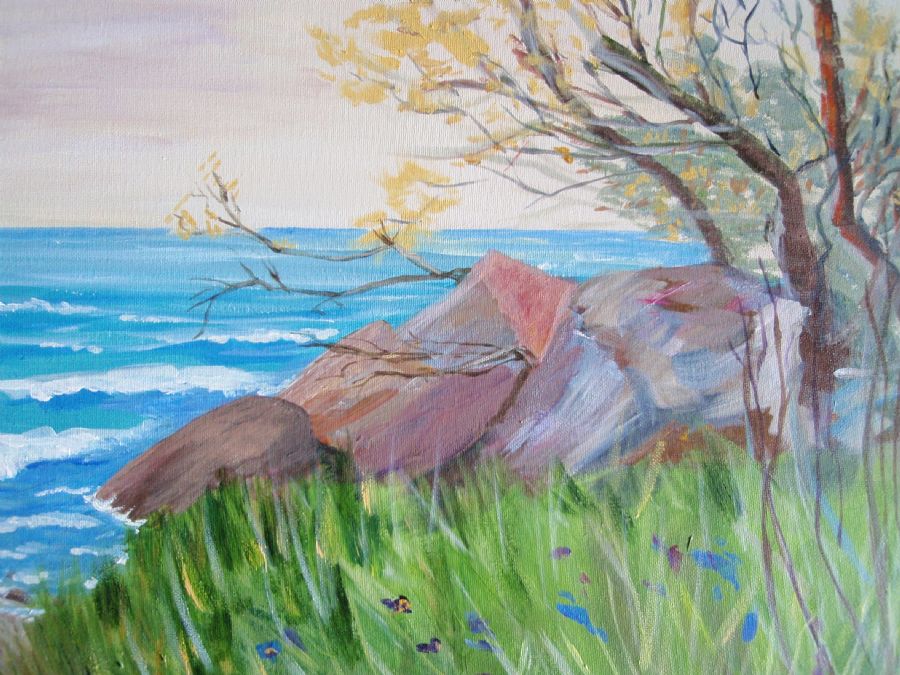 Sten ved havet