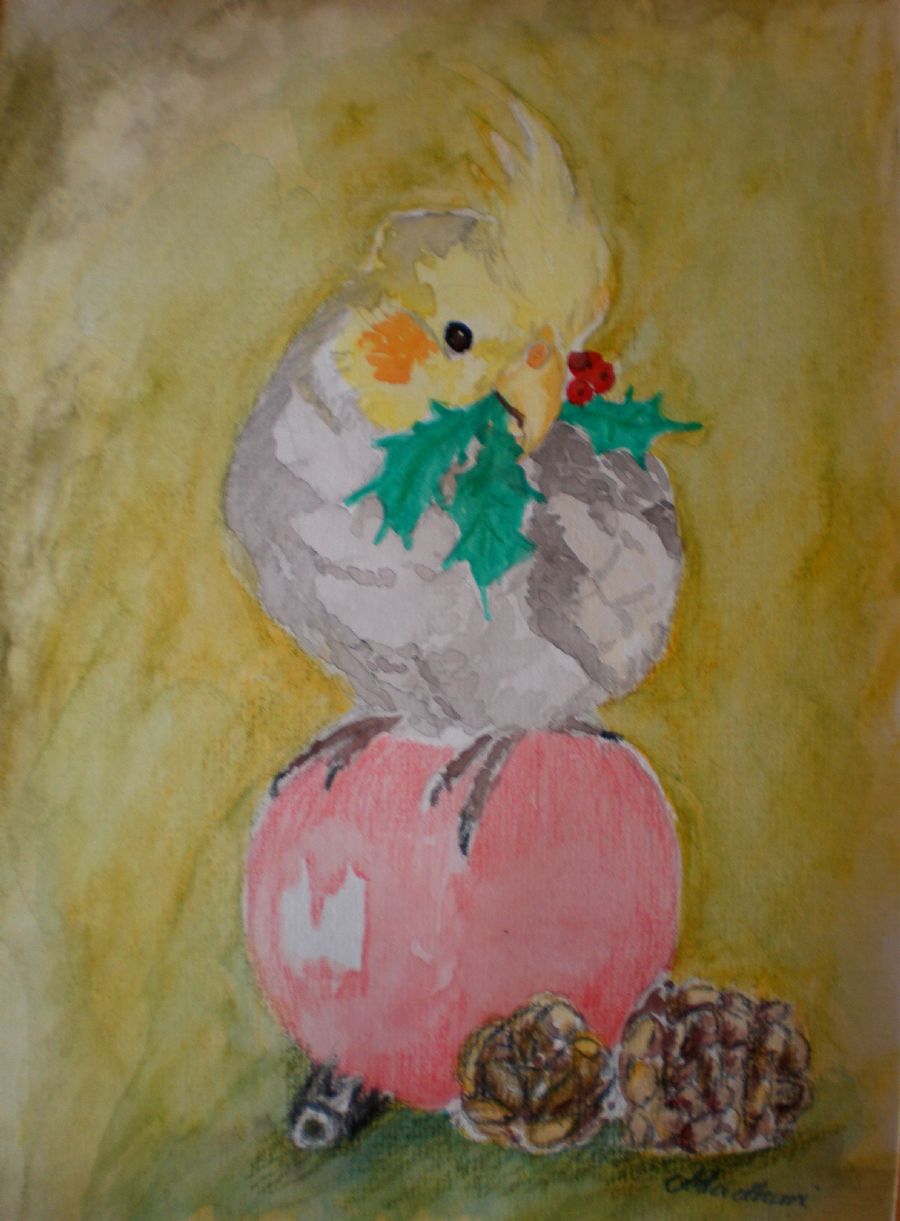 Jule Nymfe