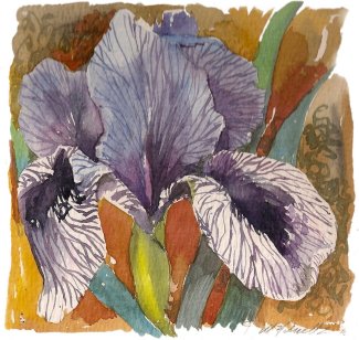 Iris