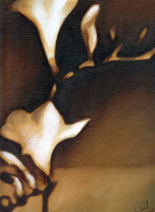 Flores