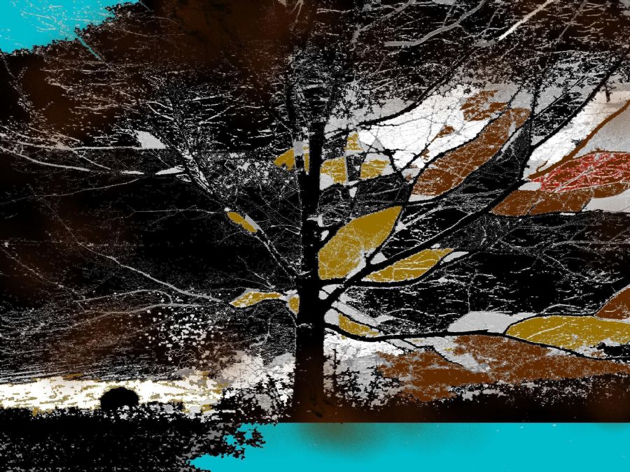 LIFE OF A TREE. Lev. alle str.