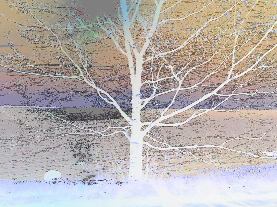 TREE OF LIFE. Lev. alle str.
