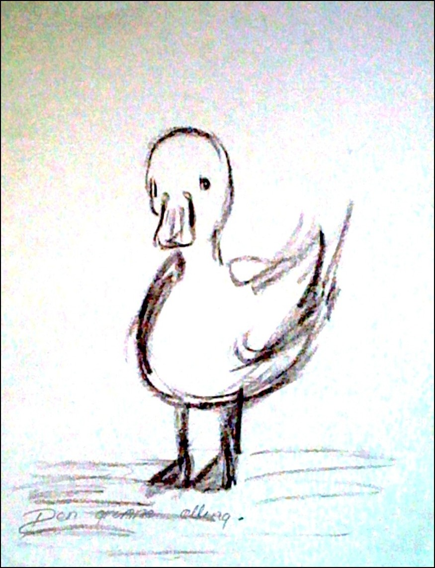 SOLGT UCKLY DUCK