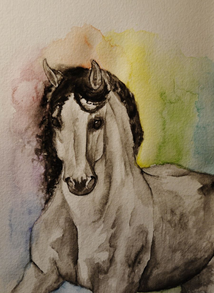 Andalusian colors