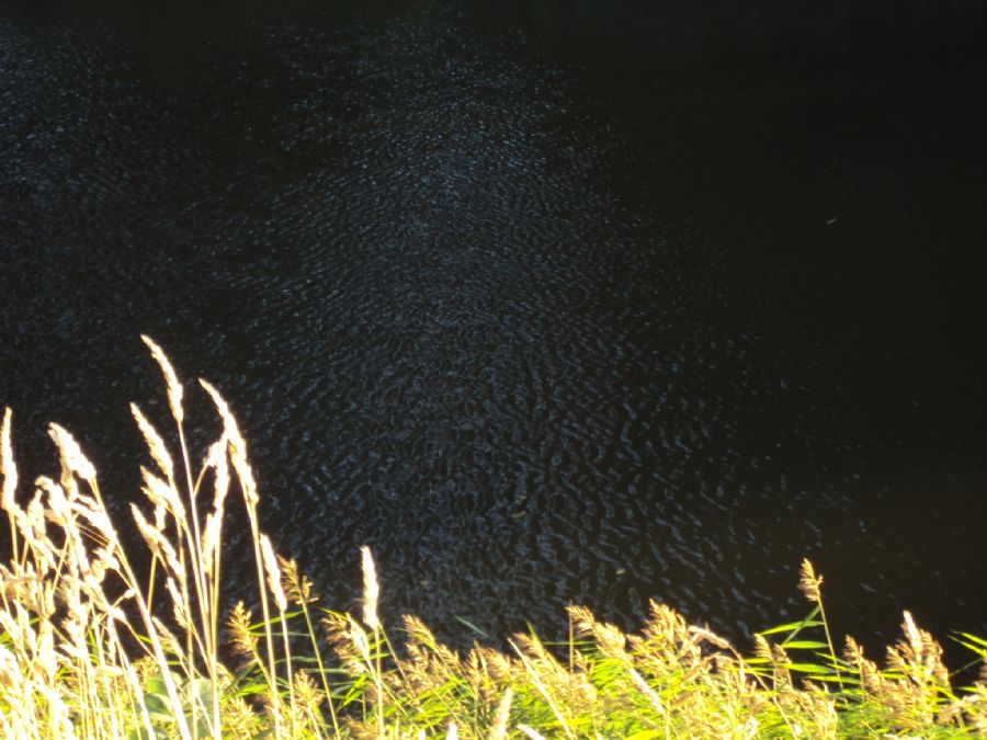 Volden Fredericia 2