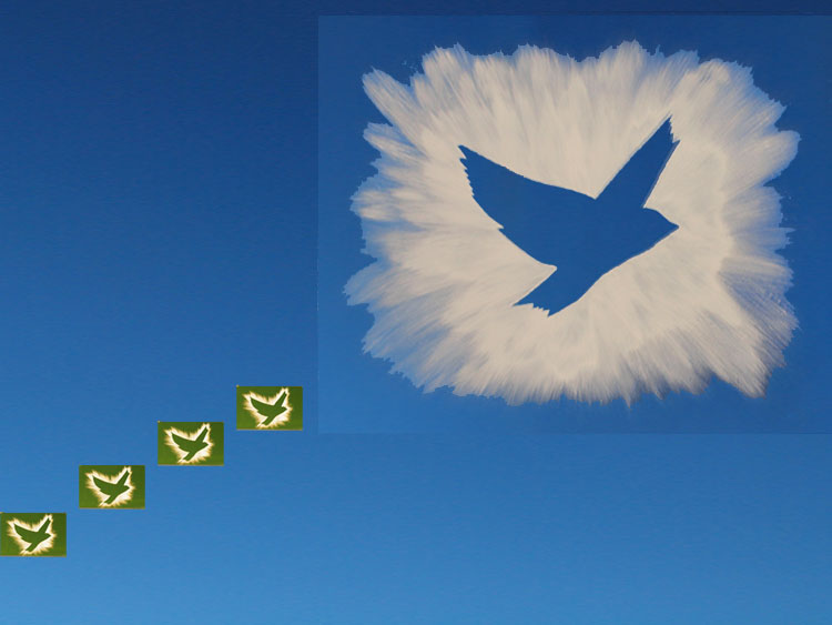 Peace Bombing High Altitude