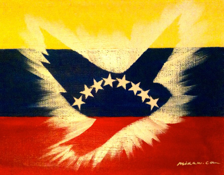 PeaceBomb Venezuela