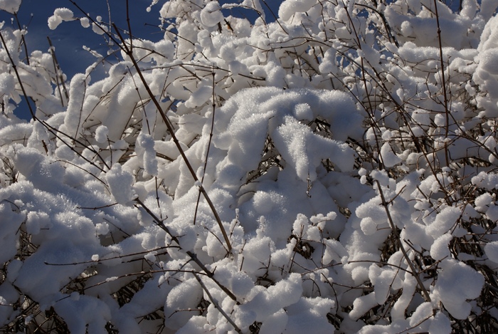 Snow