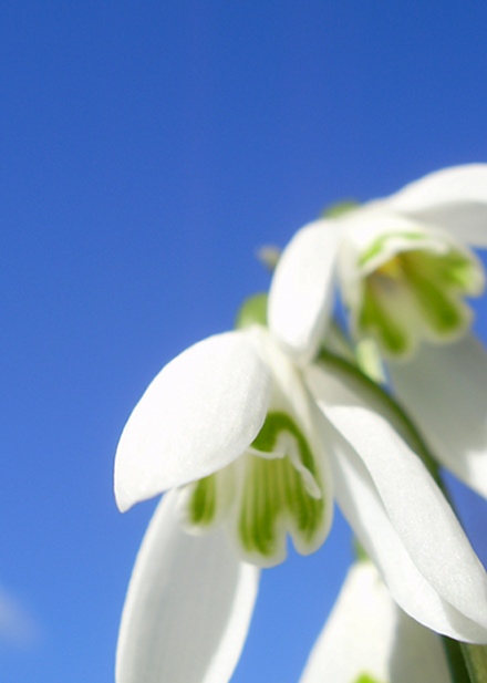 Springtime